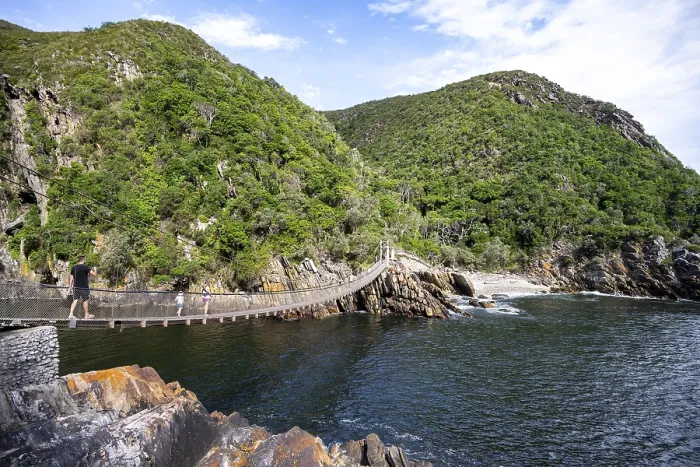 Gerahmter Druck : Brücke über den Storms River Gerahmter Druck : Brücke über den Storms River