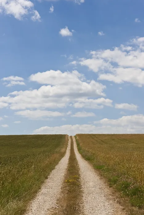 Gerahmter Druck : Gerader Feldweg. Gerahmter Druck : Gerader Feldweg.