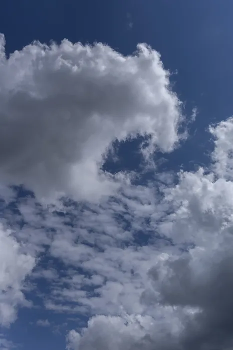 Gerahmter Druck : Stratocumuluswolken (Stratocumulus) Gerahmter Druck : Stratocumuluswolken (Stratocumulus)