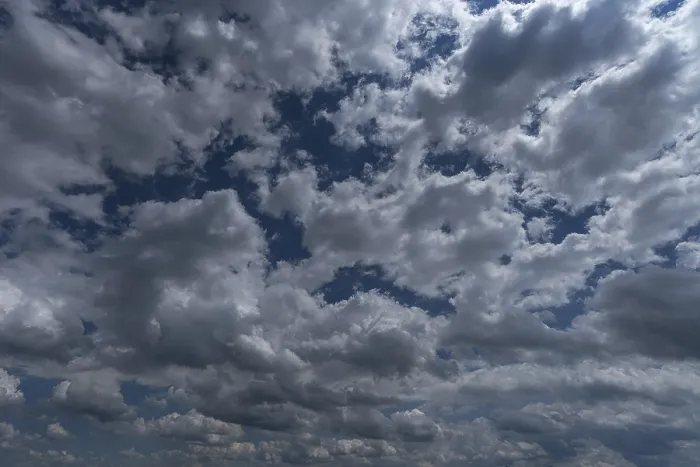 Gerahmter Druck : Stratocumuluswolken (Stratocumulus) Gerahmter Druck : Stratocumuluswolken (Stratocumulus)