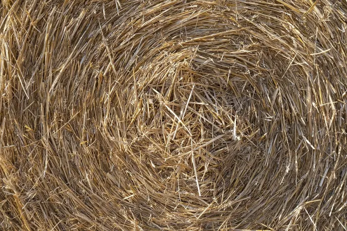Gerahmter Druck : Heuhaufen, Thüringen, Deutschland Gerahmter Druck : Heuhaufen, Thüringen, Deutschland