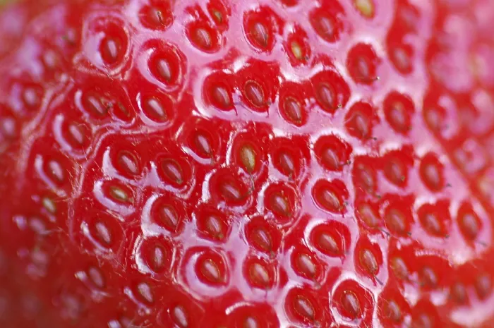 Gerahmter Druck : Strawbeery in Detail Gerahmter Druck : Strawbeery in Detail