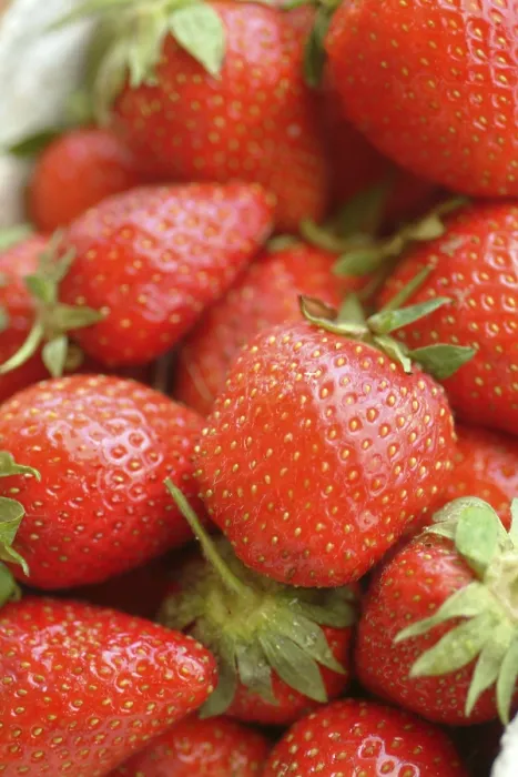 Gerahmter Druck : Strawberries Gerahmter Druck : Strawberries