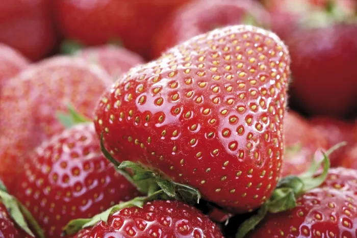 Gerahmter Druck : Strawberries Gerahmter Druck : Strawberries