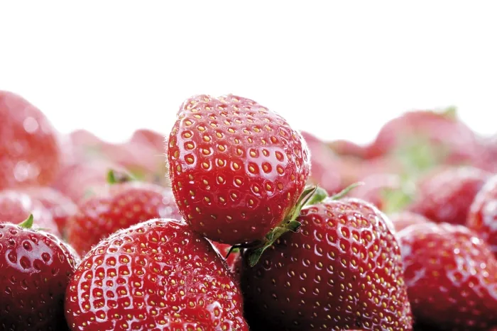 Gerahmter Druck : Strawberries Gerahmter Druck : Strawberries