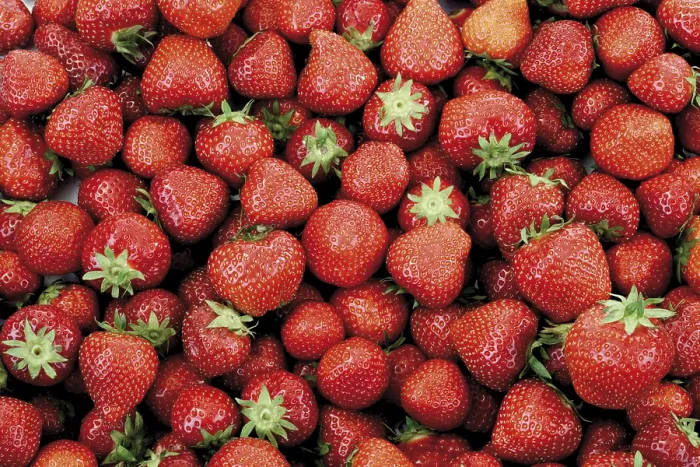 Gerahmter Druck : Erdbeeren, Vollbildschuss. Gerahmter Druck : Erdbeeren, Vollbildschuss.