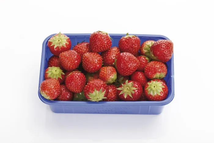 Gerahmter Druck : Erdbeeren in einem Plastikbox. Gerahmter Druck : Erdbeeren in einem Plastikbox.