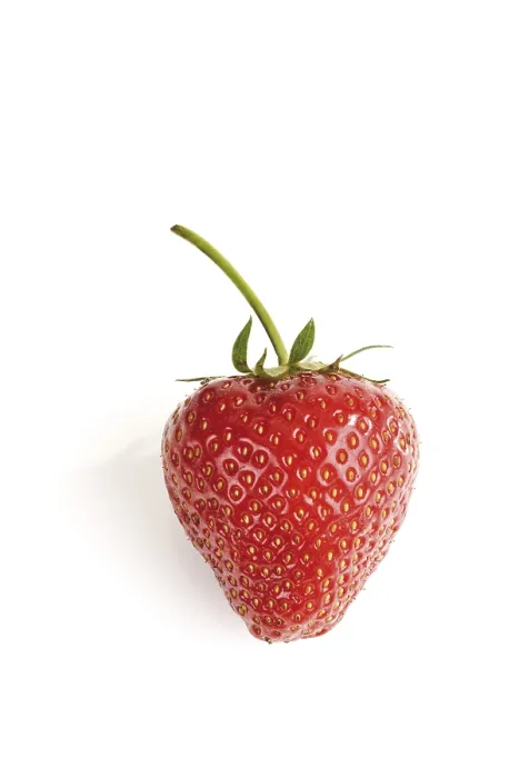 Gerahmter Druck : Strawberry Gerahmter Druck : Strawberry