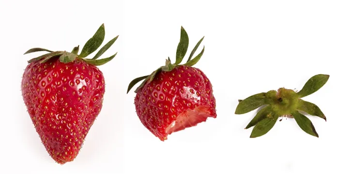 Gerahmter Druck : Strawberry Gerahmter Druck : Strawberry