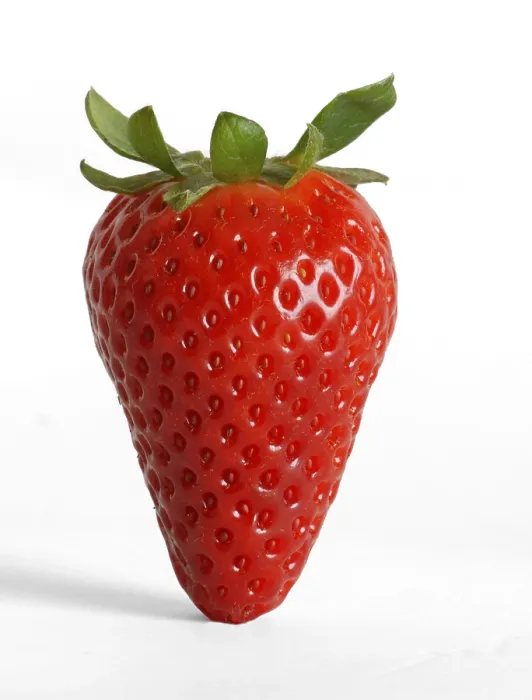 Gerahmter Druck : Strawberry Gerahmter Druck : Strawberry