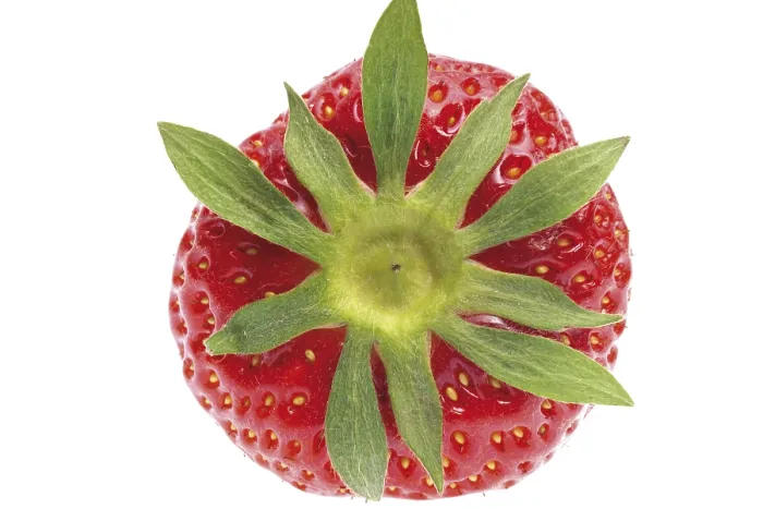 Gerahmter Druck : Strawberry Gerahmter Druck : Strawberry