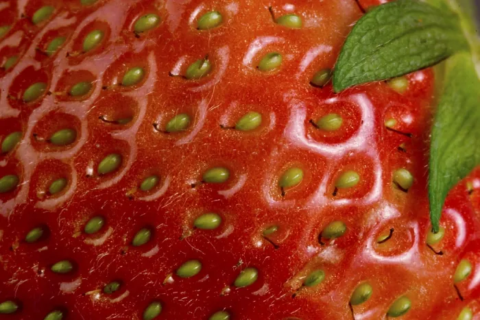 Gerahmter Druck : Strawberry