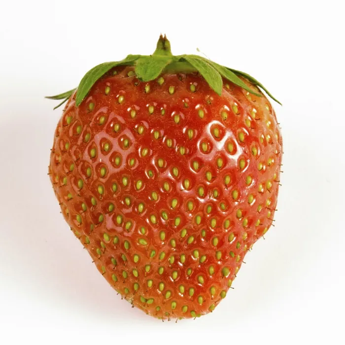 Gerahmter Druck : Strawberry Gerahmter Druck : Strawberry
