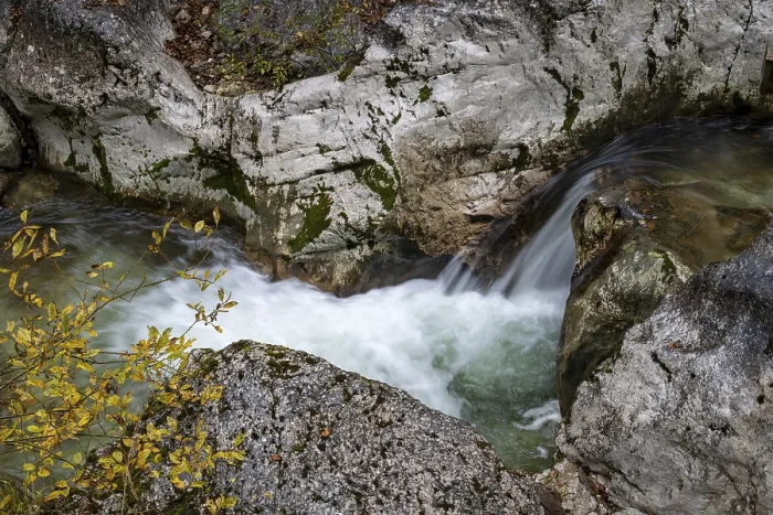 Gerahmter Druck : Bach im Herbst in der Nothklamm. Gerahmter Druck : Bach im Herbst in der Nothklamm.