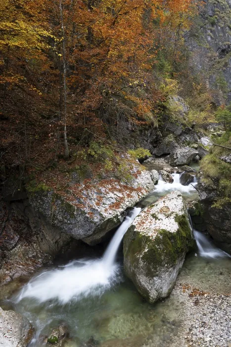 Gerahmter Druck : Bach im Herbst in der Nothklamm. Gerahmter Druck : Bach im Herbst in der Nothklamm.