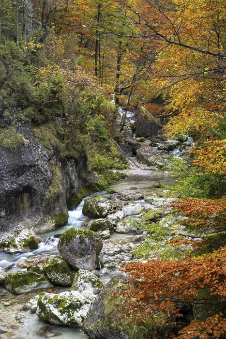 Gerahmter Druck : Bach im Herbst in der Nothklamm. Gerahmter Druck : Bach im Herbst in der Nothklamm.