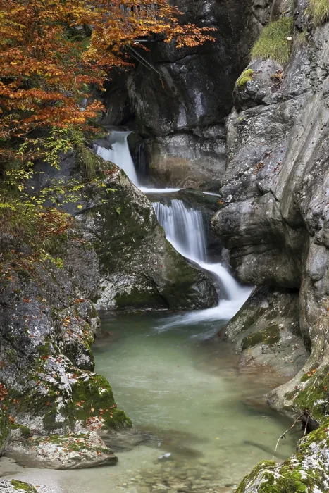 Gerahmter Druck : Bach im Herbst in der Nothklamm. Gerahmter Druck : Bach im Herbst in der Nothklamm.