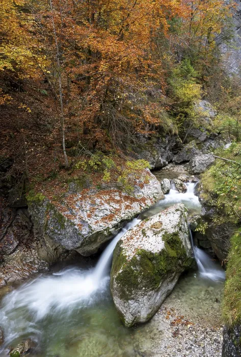 Gerahmter Druck : Bach im Herbst in der Nothklamm. Gerahmter Druck : Bach im Herbst in der Nothklamm.
