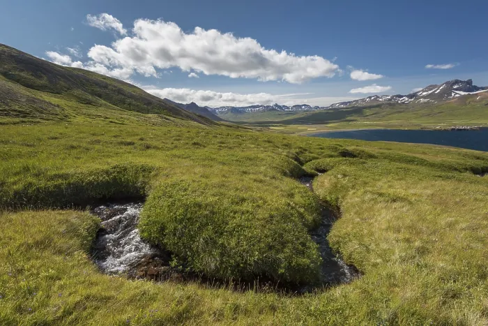 Gerahmter Druck : Fluss, Borgarfjörður Gerahmter Druck : Fluss, Borgarfjörður