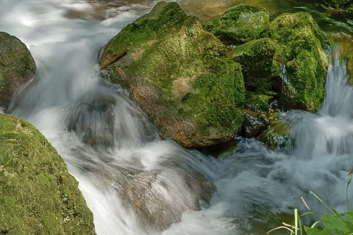 Gerahmter Druck : Ein Bach fließt über moosbedeckte Felsen. Gerahmter Druck : Ein Bach fließt über moosbedeckte Felsen.