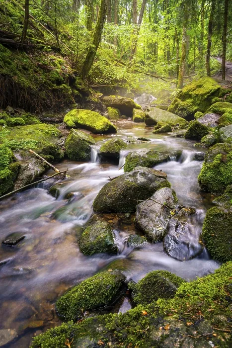 Gerahmter Druck : Ein Bach im Wald mit Steinen und Moos. Gerahmter Druck : Ein Bach im Wald mit Steinen und Moos.