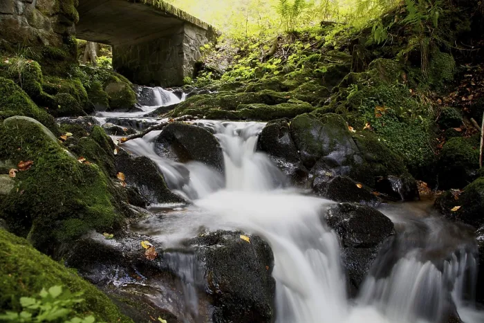 Gerahmter Druck : Bach auf dem Feldberg im Schwarzwald Gerahmter Druck : Bach auf dem Feldberg im Schwarzwald