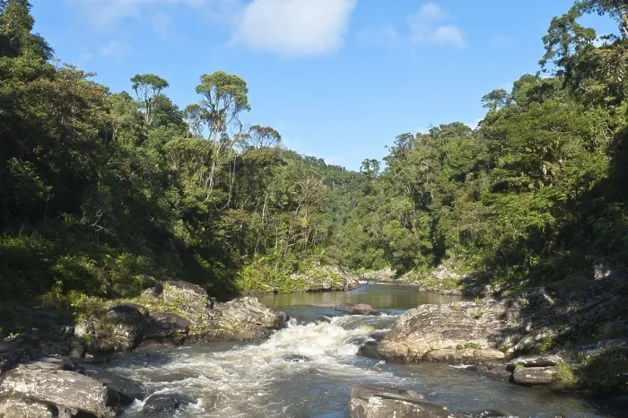 Gerahmter Druck : Bach, kleiner Wasserfall im Dschungel. Gerahmter Druck : Bach, kleiner Wasserfall im Dschungel.