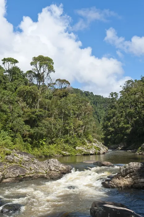 Gerahmter Druck : Bach, kleiner Wasserfall im Dschungel. Gerahmter Druck : Bach, kleiner Wasserfall im Dschungel.
