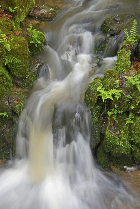 Gerahmter Druck : Fluss, Wasser, fließend, Wald. Gerahmter Druck : Fluss, Wasser, fließend, Wald.