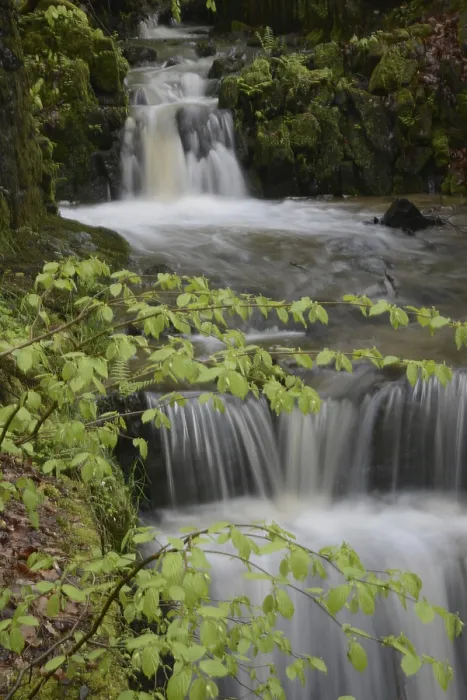 Gerahmter Druck : Fluss, Wasser, fließend, Quelle Gerahmter Druck : Fluss, Wasser, fließend, Quelle