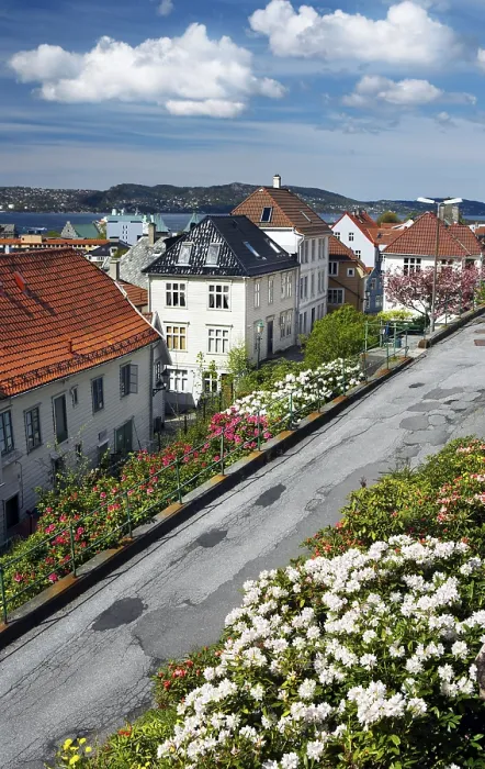 Gerahmter Druck : Eine Straße in Bergen