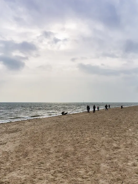 Gerahmter Druck : Wanderräder auf der Südstrand im Herbst. Gerahmter Druck : Wanderräder auf der Südstrand im Herbst.