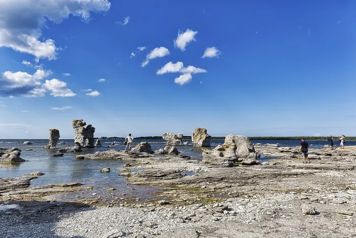 Gerahmter Druck : Wanderräder auf der Steinstrand mit Raukar. Gerahmter Druck : Wanderräder auf der Steinstrand mit Raukar.
