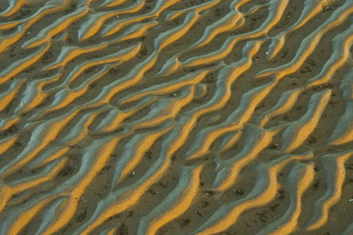Gerahmter Druck : Struktur am sandigen Strand bei Niedrigwasser. Gerahmter Druck : Struktur am sandigen Strand bei Niedrigwasser.