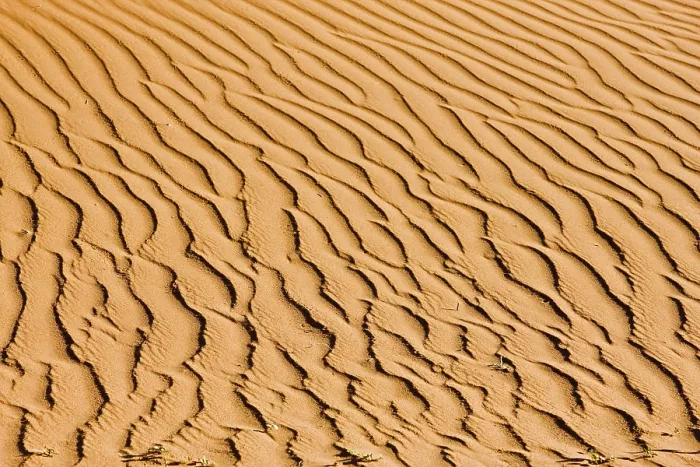 Gerahmter Druck : Strukturen auf einer Düne in der Namib-Wüste. Gerahmter Druck : Strukturen auf einer Düne in der Namib-Wüste.