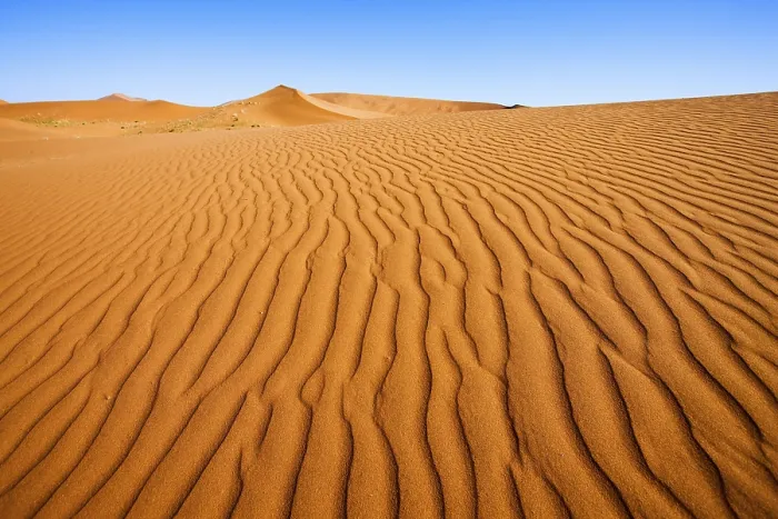 Gerahmter Druck : Strukturen auf einer Düne in der Namib-Wüste. Gerahmter Druck : Strukturen auf einer Düne in der Namib-Wüste.