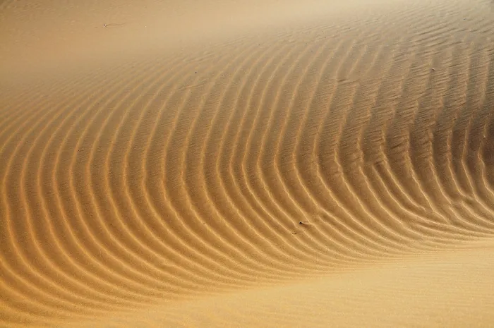 Gerahmter Druck : Strukturen im Sand, Wüste von Erg Chebbi. Gerahmter Druck : Strukturen im Sand, Wüste von Erg Chebbi.
