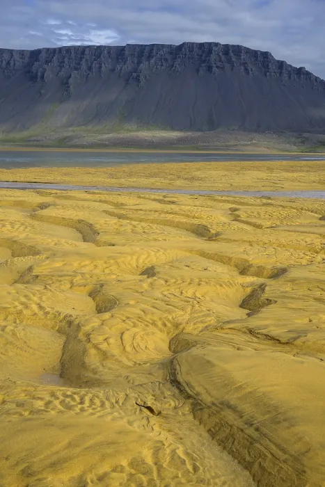 Gerahmter Druck : Strukturen im Sand, Rauðasandur Gerahmter Druck : Strukturen im Sand, Rauðasandur