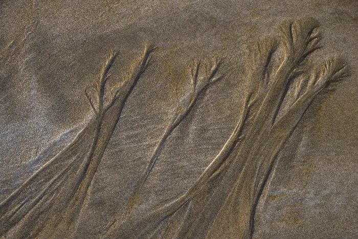 Gerahmter Druck : Strukturen in Sand auf sandiger Strand.