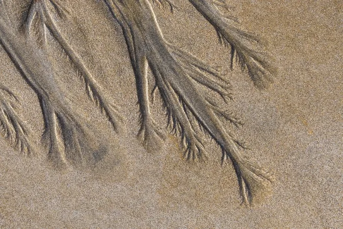 Gerahmter Druck : Strukturen in Sand auf sandiger Strand. Gerahmter Druck : Strukturen in Sand auf sandiger Strand.