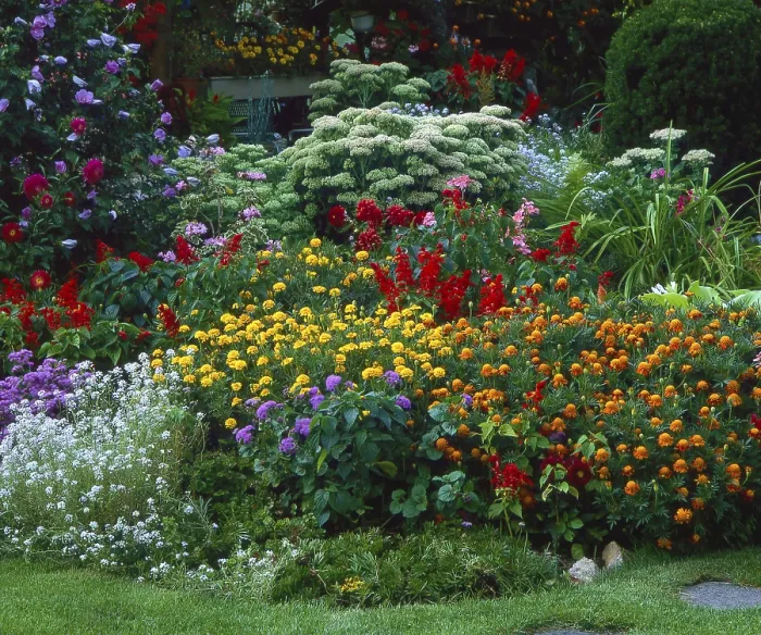 Gerahmter Druck : Sommergarten Gerahmter Druck : Sommergarten