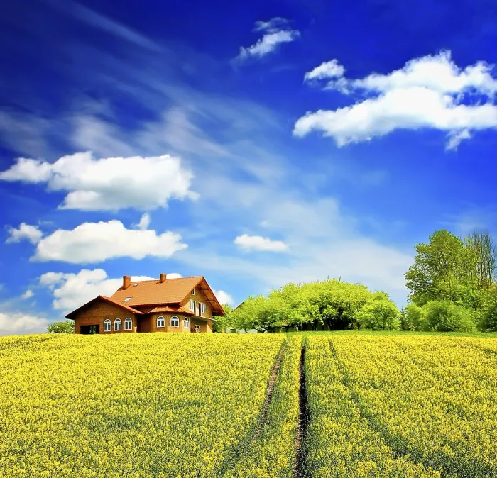 Gerahmter Druck : Sommerhaus Gerahmter Druck : Sommerhaus