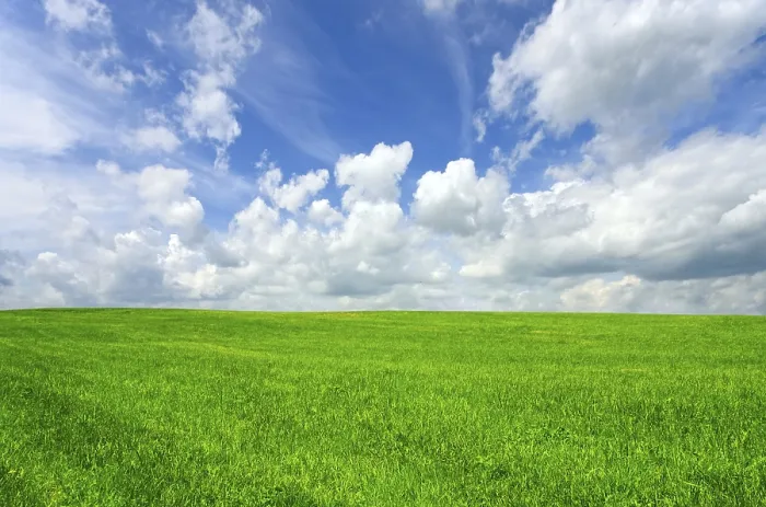 Gerahmter Druck : Sommerlandschaft Gerahmter Druck : Sommerlandschaft