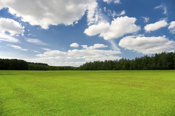 Gerahmter Druck : Sommerlandschaft Gerahmter Druck : Sommerlandschaft