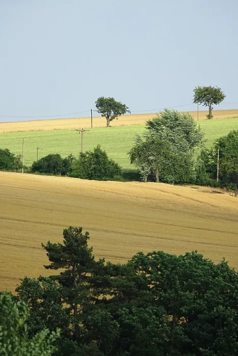 Gerahmter Druck : Sommerlandschaft, Deutschland Gerahmter Druck : Sommerlandschaft, Deutschland