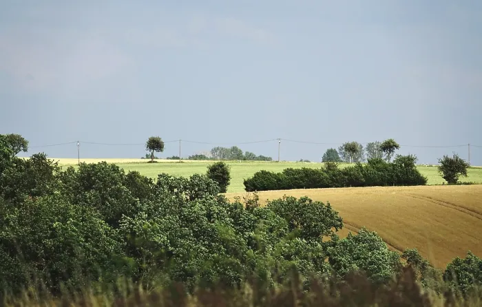 Gerahmter Druck : Sommerlandschaft in Deutschland Gerahmter Druck : Sommerlandschaft in Deutschland