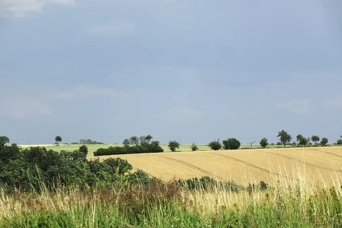 Gerahmter Druck : Sommerlandschaft in Deutschland Gerahmter Druck : Sommerlandschaft in Deutschland