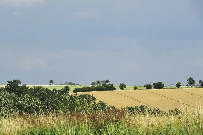 Gerahmter Druck : Sommerlandschaft, Deutschland Gerahmter Druck : Sommerlandschaft, Deutschland