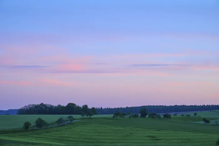 Gerahmter Druck : Sommerlandschaft mit grünen Feldern. Gerahmter Druck : Sommerlandschaft mit grünen Feldern.