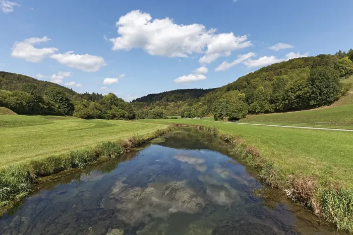 Gerahmter Druck : Sommerlandschaft mit Wiesen und Bächen. Gerahmter Druck : Sommerlandschaft mit Wiesen und Bächen.